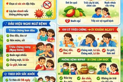 TUYÊN TRUYỀN PHÒNG, CHỐNG BỆNH DO VIRUS NIPAH